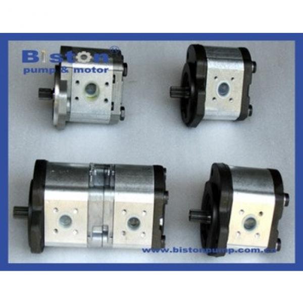 REXROTH GEAR PUMP 0510445001 REXROTH GEAR PUMP 0510665042 REXROTH GEAR PUMP 0510565023 #1 image