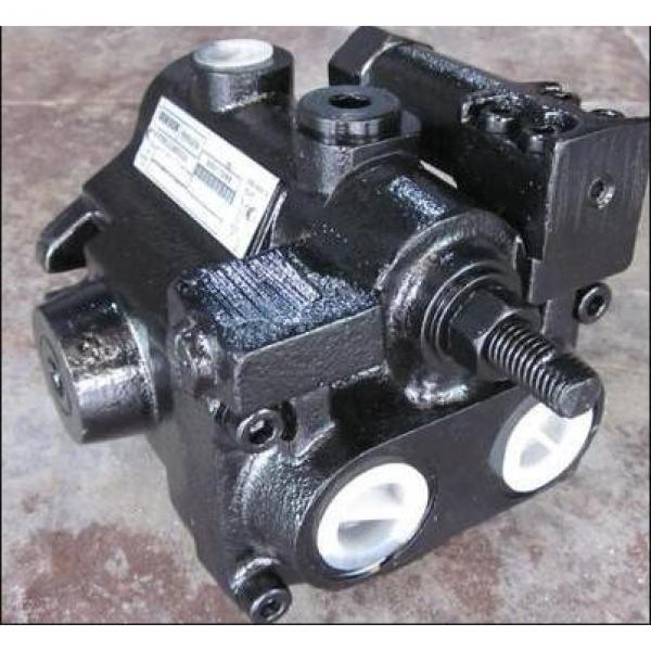 Dansion piston pump piston pump PV15-2R5D-K02 #2 image