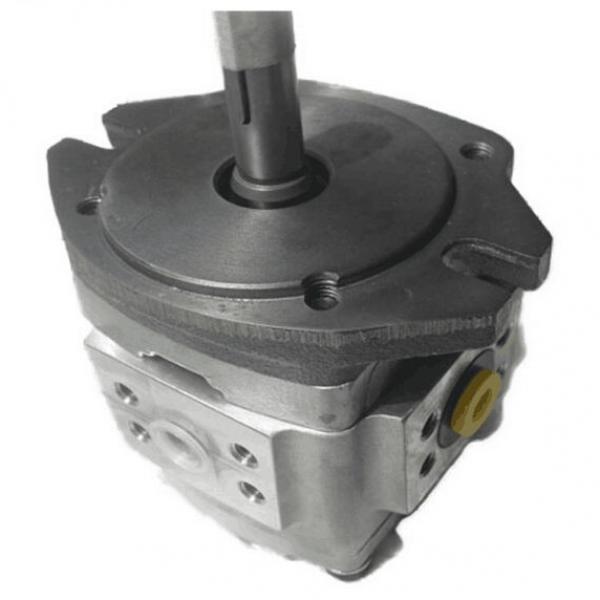 NACHI Gear pump IPH-3B-13-LT-20 #1 image