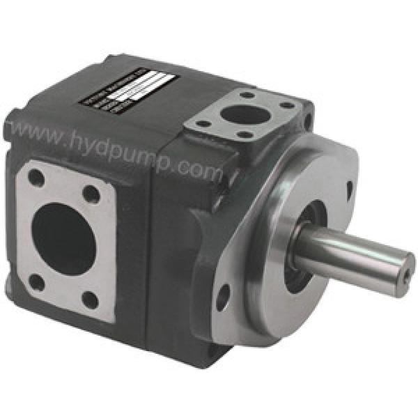 Hydraulic  6C T6D T6E T7E Single Vane Pump T67DCB380141R00A100 #1 image