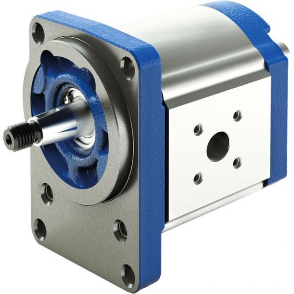 PGF2-2X/019RA20VP2 Original Rexroth PGF series Gear Pump #1 image