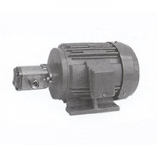 1PD2.5GAS MARZOCCHI ALP Series Gear Pump #1 image