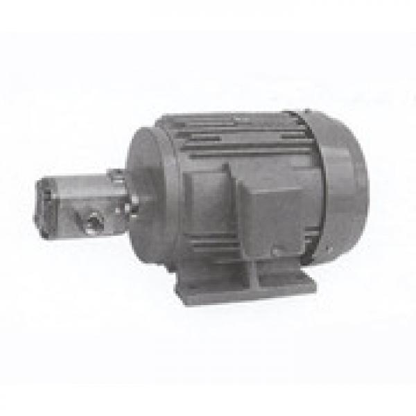 Italy CASAPPA Gear Pump PLP20.14DO-31S1-LGE/GD-N-EL #1 image